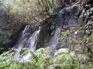 Slope Point - Nugget Point Lighthouse-018
